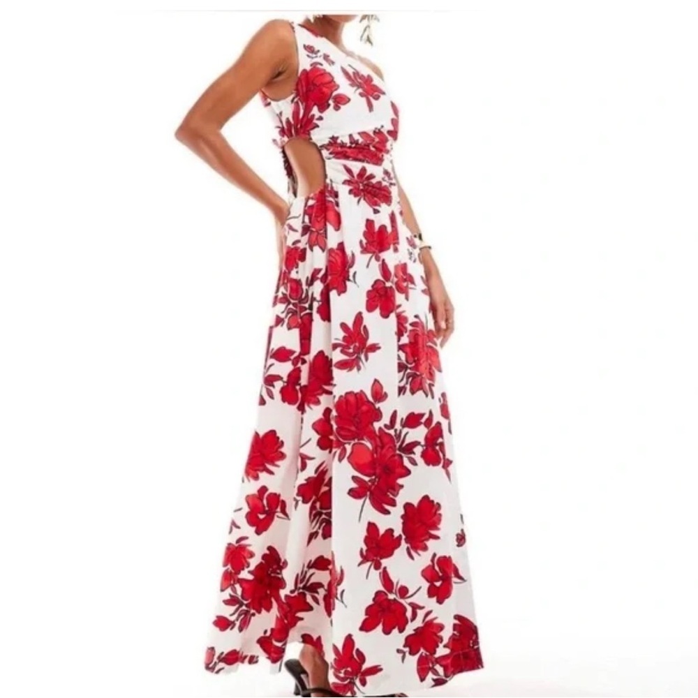 Abercrombie & Fitch Red and White Floral Backless Dress